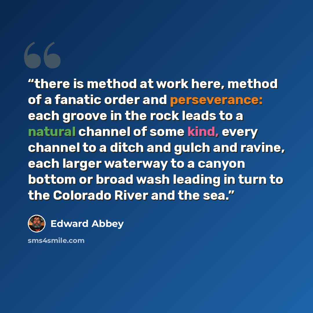 “there is method at work here, method of a fanatic order and perseverance: each groove in the rock leads to a natural channel of some kind, every channel to a ditch and gulch and ravine, each larger waterway to a canyon bottom or broad wash leading in turn to the Colorado River and the sea.” quote by Edward Abbey