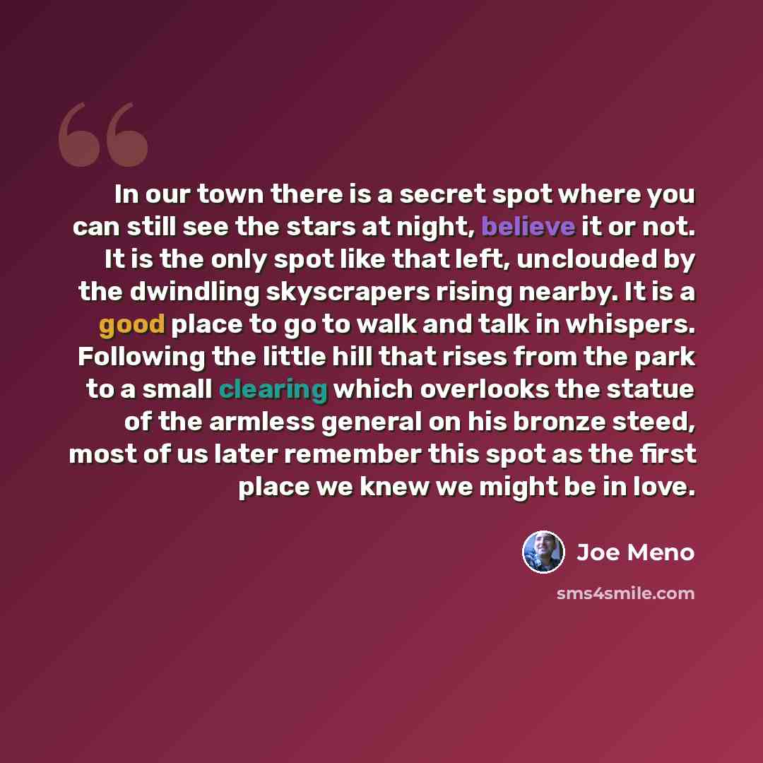 “In our town there is a secret spot where you can still see the stars at night, believe it or not. It is the only spot like that left, unclouded by the dwindling skyscrapers rising nearby. It is a good place to go to walk and talk in whispers. Following the little hill that rises from the park to a…” quote by Joe Meno