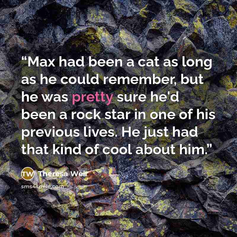 “Max had been a cat as long as he could remember, but he was pretty sure he'd been a rock star in one of his previous lives. He just had that kind of cool about him.” quote by Theresa Weir