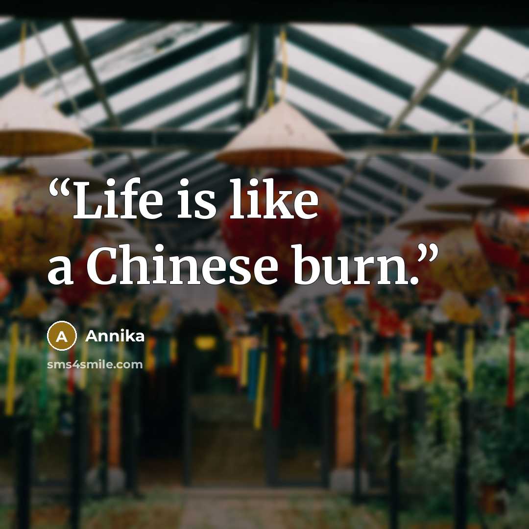 “Life is like a Chinese burn.” quote by Annika