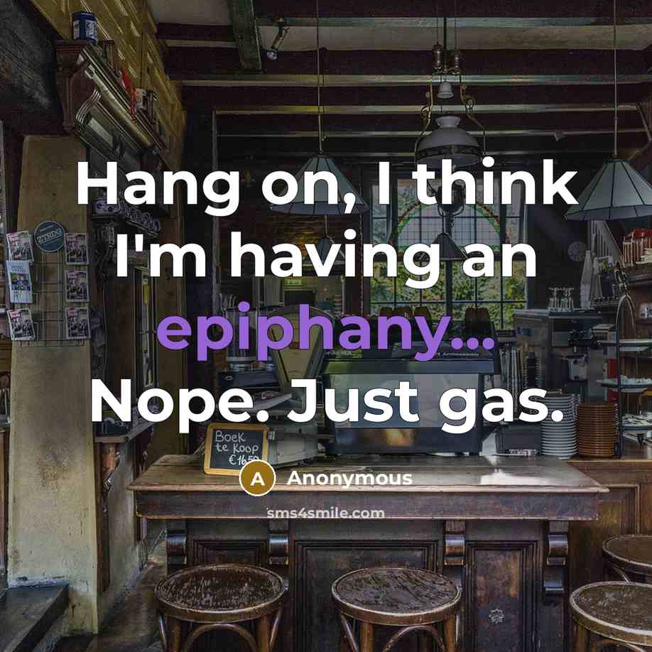 “Hang on, I think I'm having an epiphany... Nope. Just gas.” quote by Anonymous