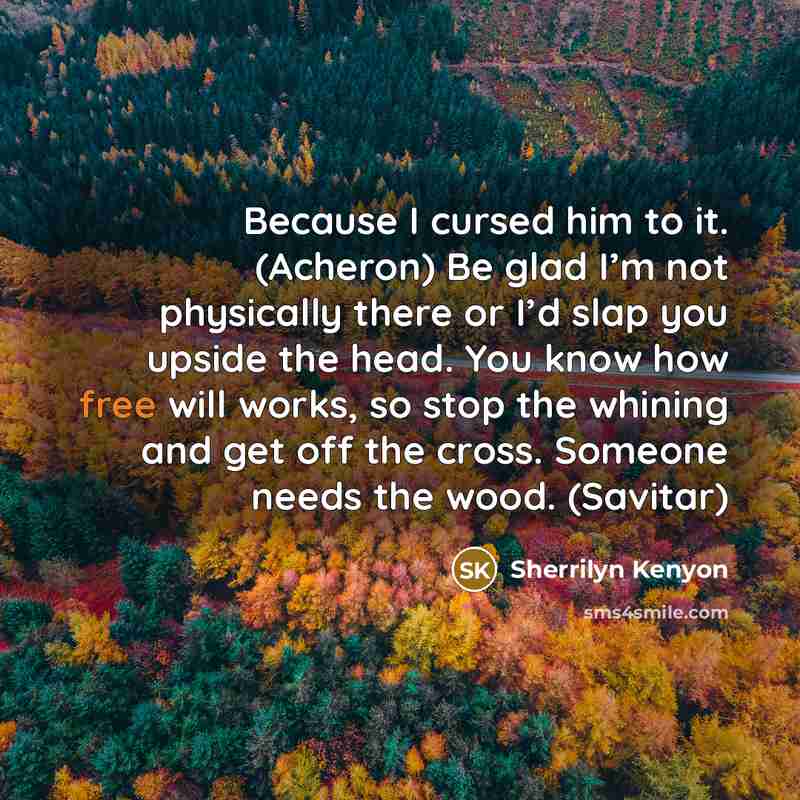“Because I cursed him to it. (Acheron) Be glad I’m not physically there or I’d slap you upside the head. You know how free will works, so stop the whining and get off the cross. Someone needs the wood. (Savitar)” quote by Sherrilyn Kenyon
