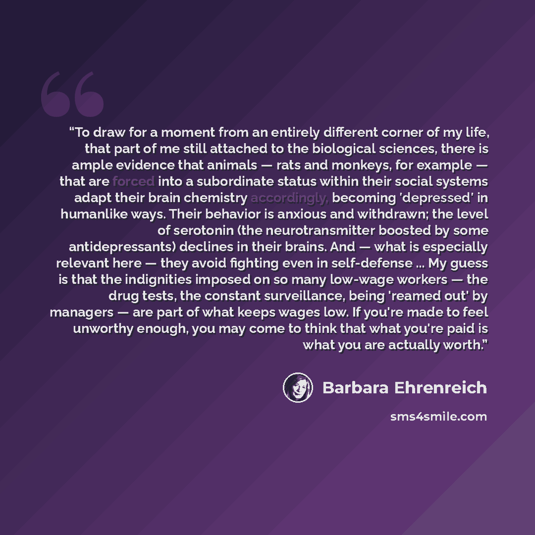 “To draw for a moment from an entirely different corner of my life, that part of me still attached to the biological sciences, there is ample evidence that animals — rats and monkeys, for example — that are forced into a subordinate status within their social systems adapt their brain chemistry…” quote by Barbara Ehrenreich