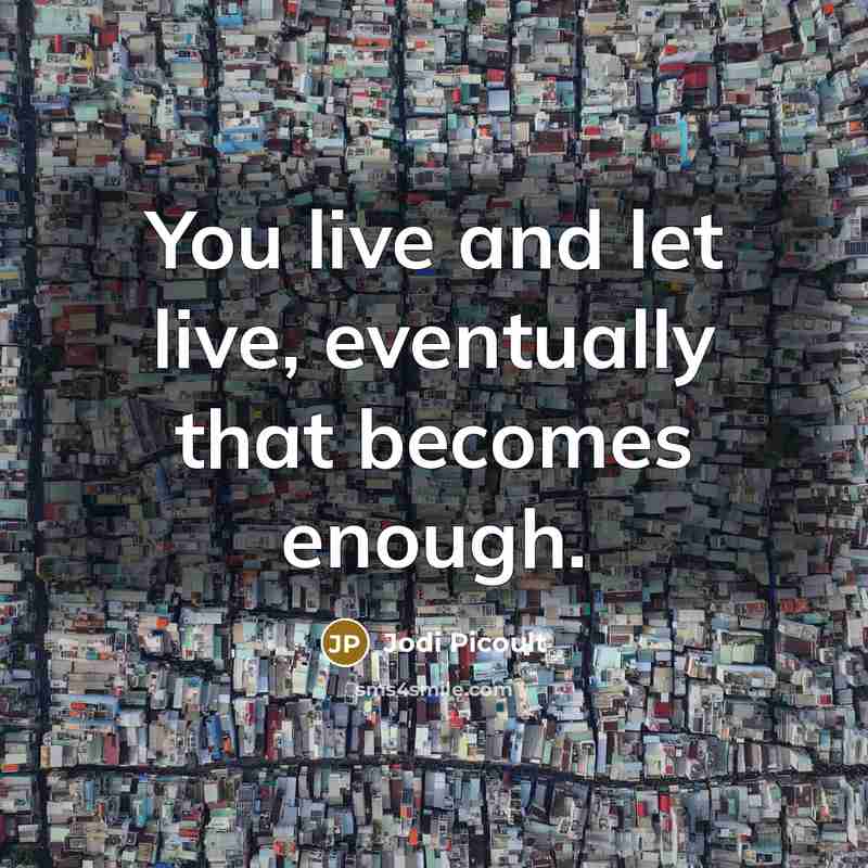 “You live and let live, eventually that becomes enough.” quote by Jodi Picoult
