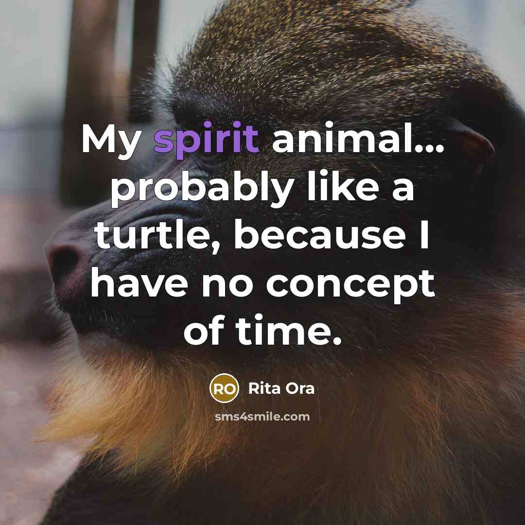 “My spirit animal... probably like a turtle, because I have no concept of time.” quote by Rita Ora