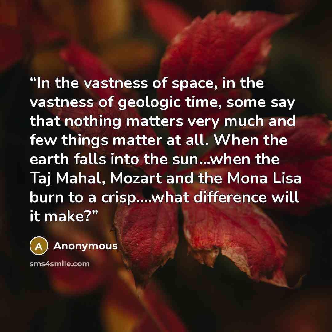 “In the vastness of space, in the vastness of geologic time, some say that nothing matters very much and few things matter at all. When the earth falls into the sun…when the Taj Mahal, Mozart and the Mona Lisa burn to a crisp….what difference will it make?” quote by Anonymous
