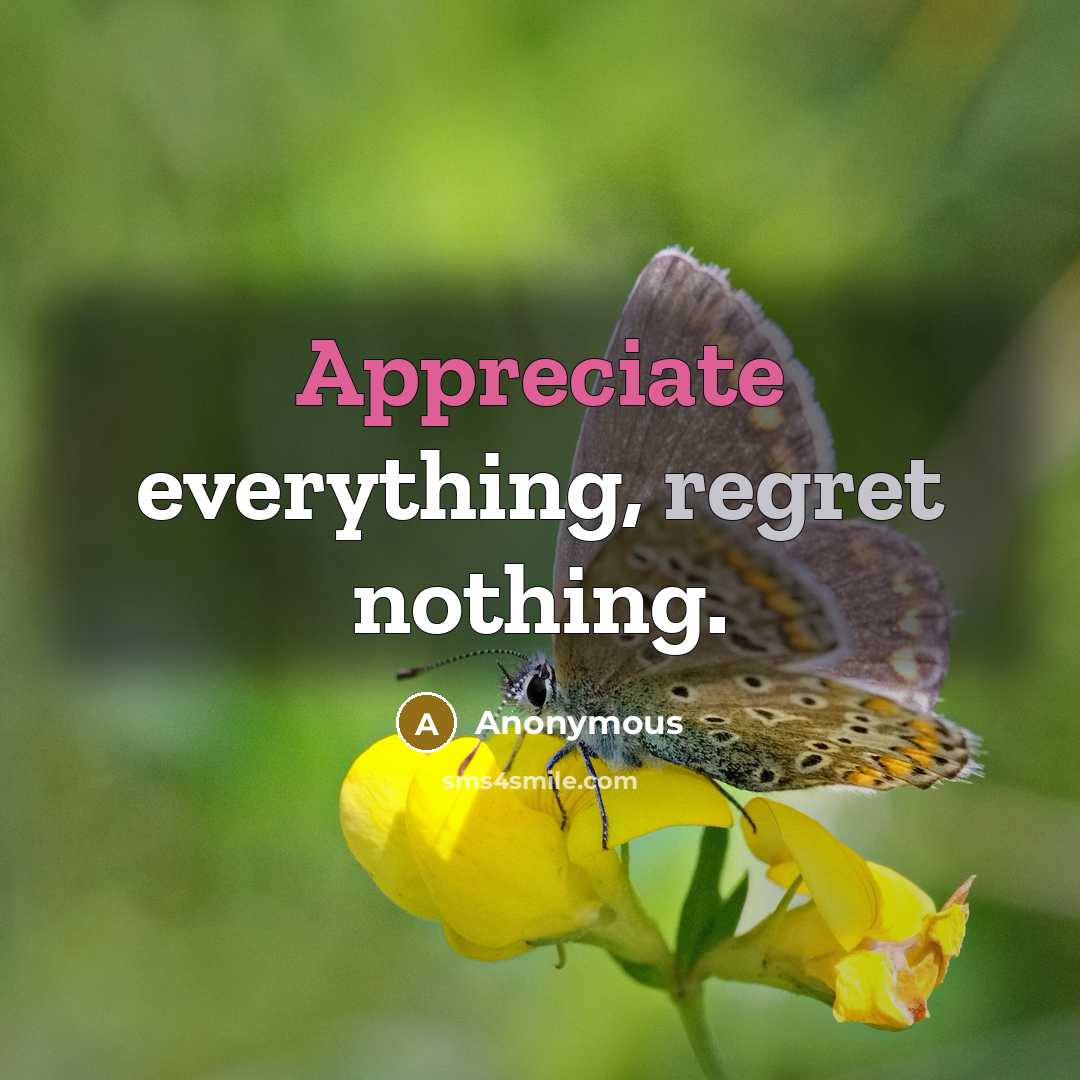 “Appreciate everything, regret nothing.” quote by Anonymous