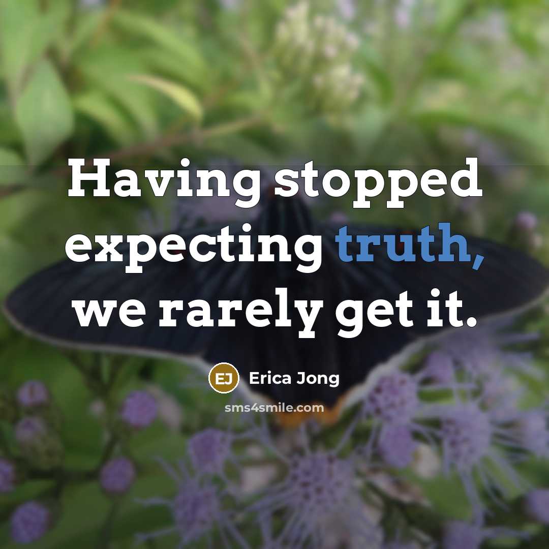 “Having stopped expecting truth, we rarely get it.” quote by Erica Jong