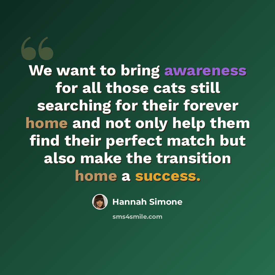 “We want to bring awareness for all those cats still searching for their forever home and not only help them find their perfect match but also make the transition home a success.” quote by Hannah Simone