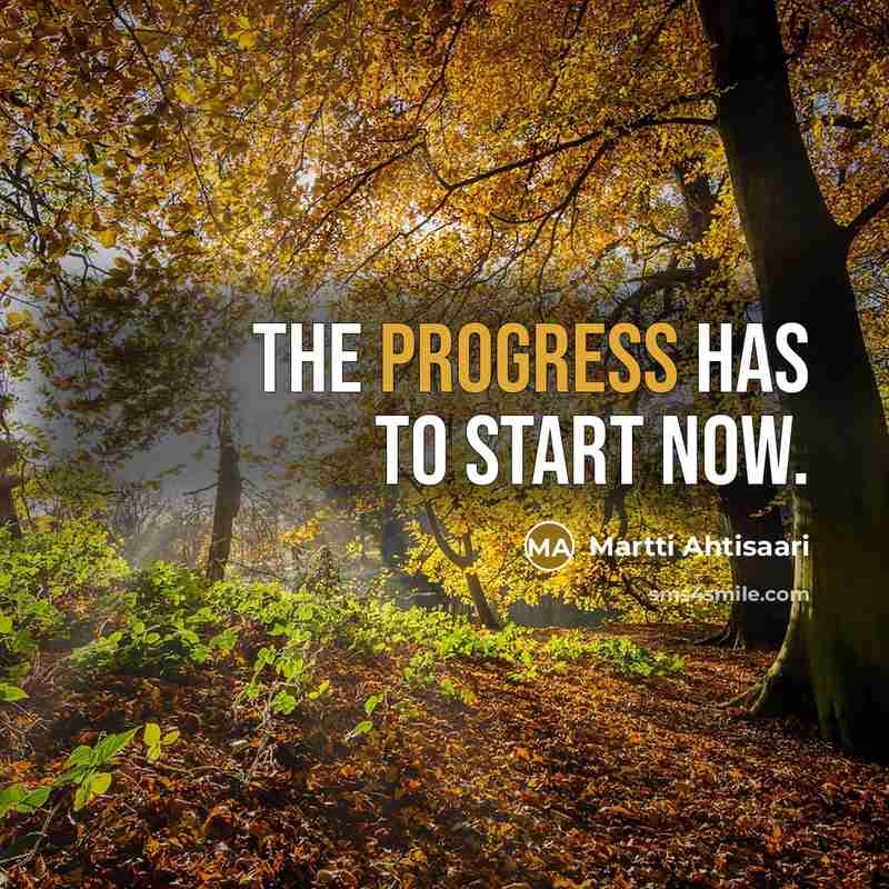 “The progress has to start now.” quote by Martti Ahtisaari