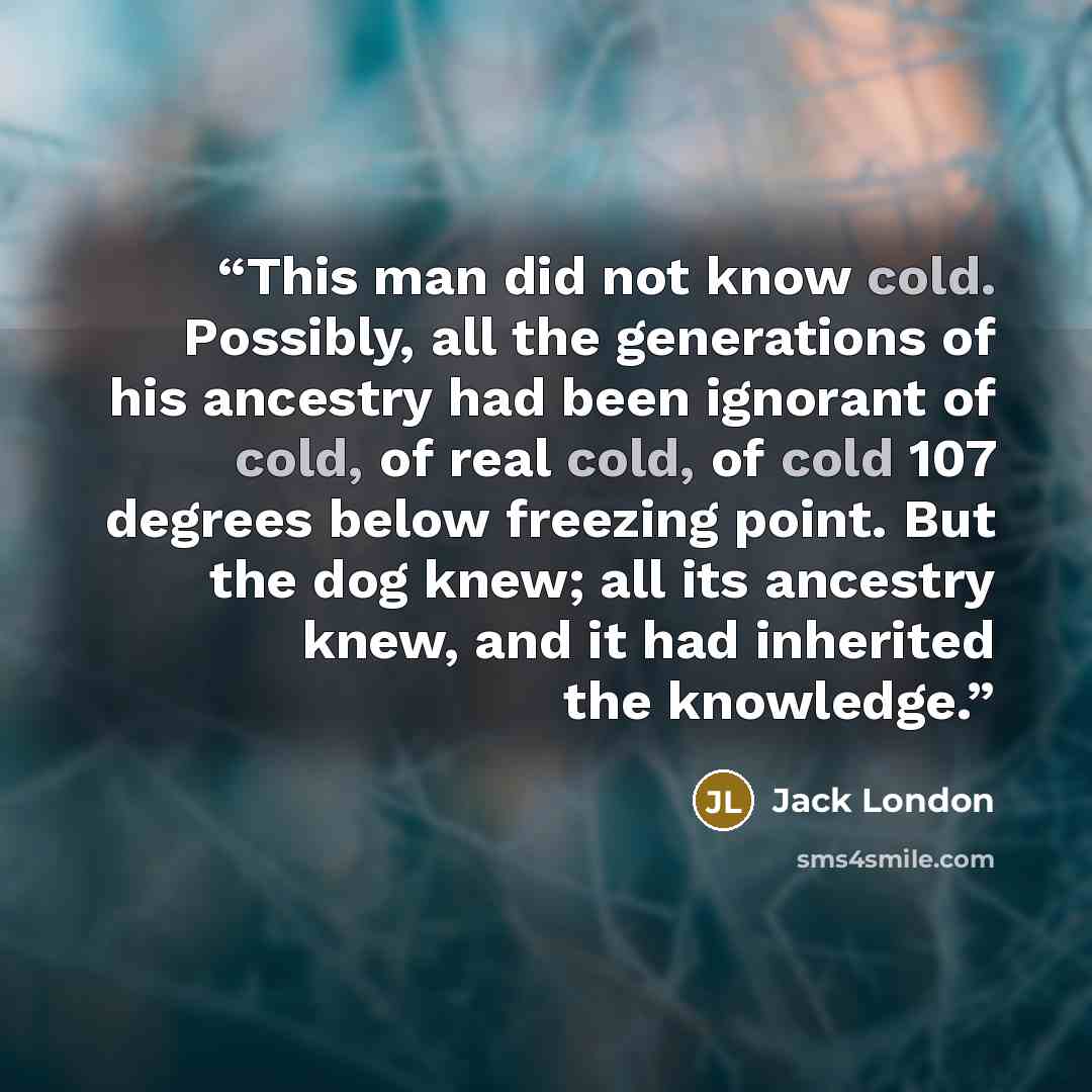 “This man did not know cold. Possibly, all the generations of his ancestry had been ignorant of cold, of real cold, of cold 107 degrees below freezing point. But the dog knew; all its ancestry knew, and it had inherited the knowledge.” quote by Jack London