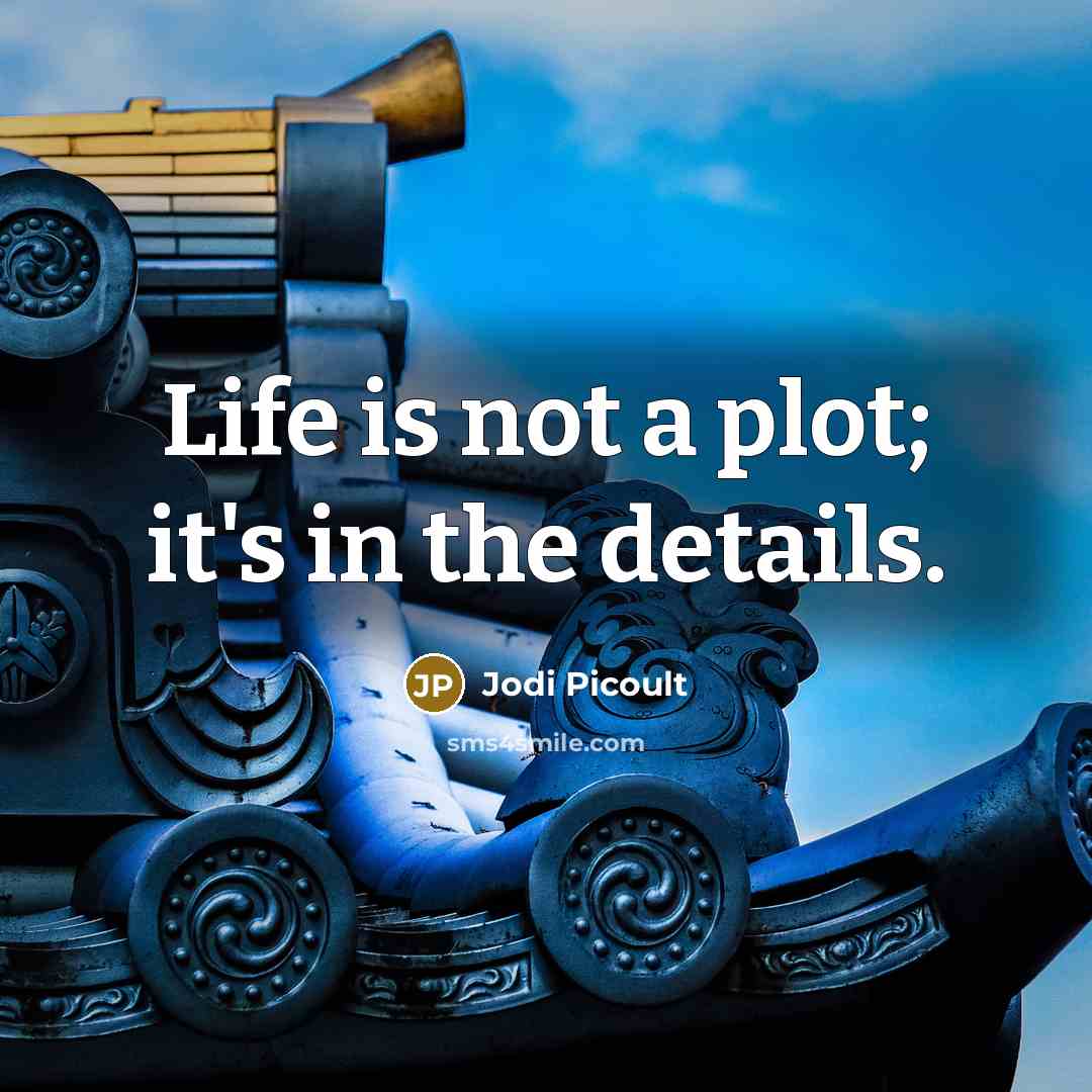 “Life is not a plot; it's in the details.” quote by Jodi Picoult