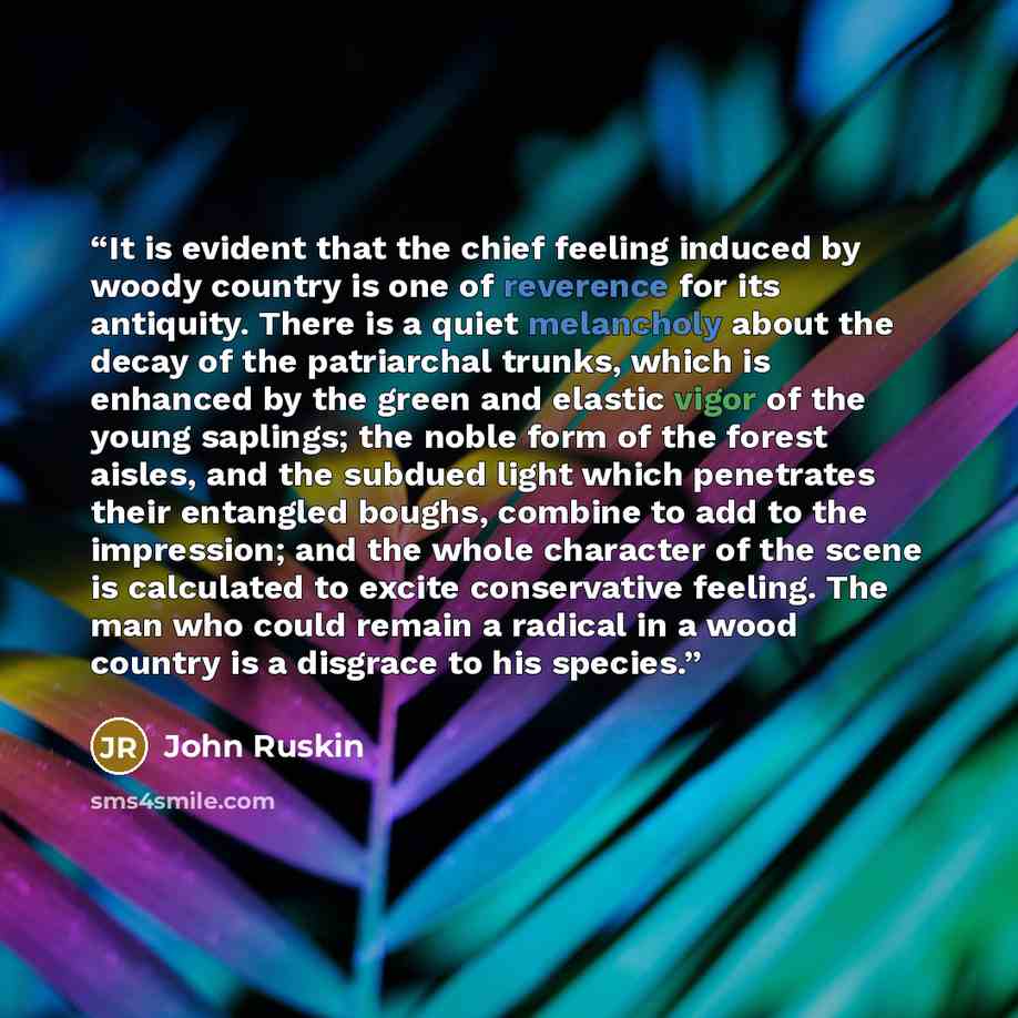 “It is evident that the chief feeling induced by woody country is one of reverence for its antiquity. There is a quiet melancholy about the decay of the patriarchal trunks, which is enhanced by the green and elastic vigor of the young saplings; the noble form of the forest aisles, and the subdued…” quote by John Ruskin