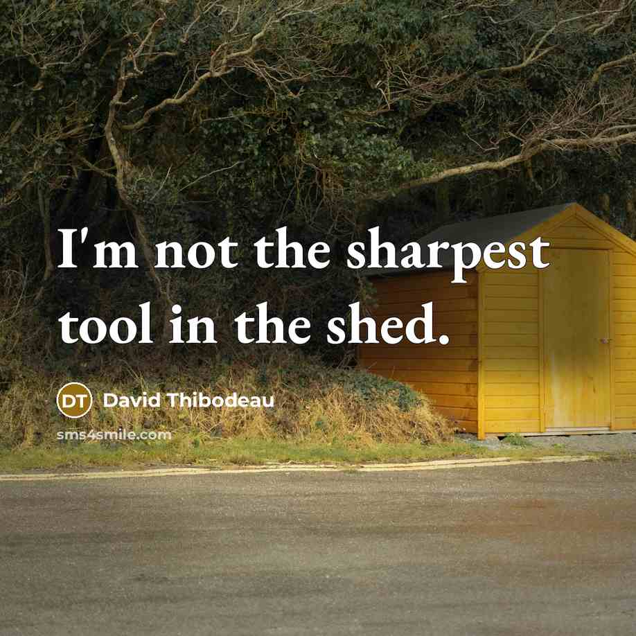 “I'm not the sharpest tool in the shed.” quote by David Thibodeau