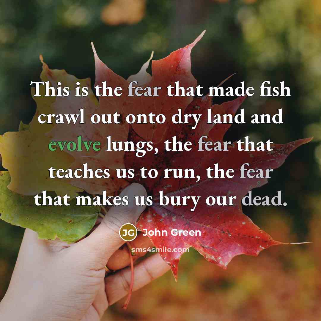 “This is the fear that made fish crawl out onto dry land and evolve lungs, the fear that teaches us to run, the fear that makes us bury our dead.” quote by John Green