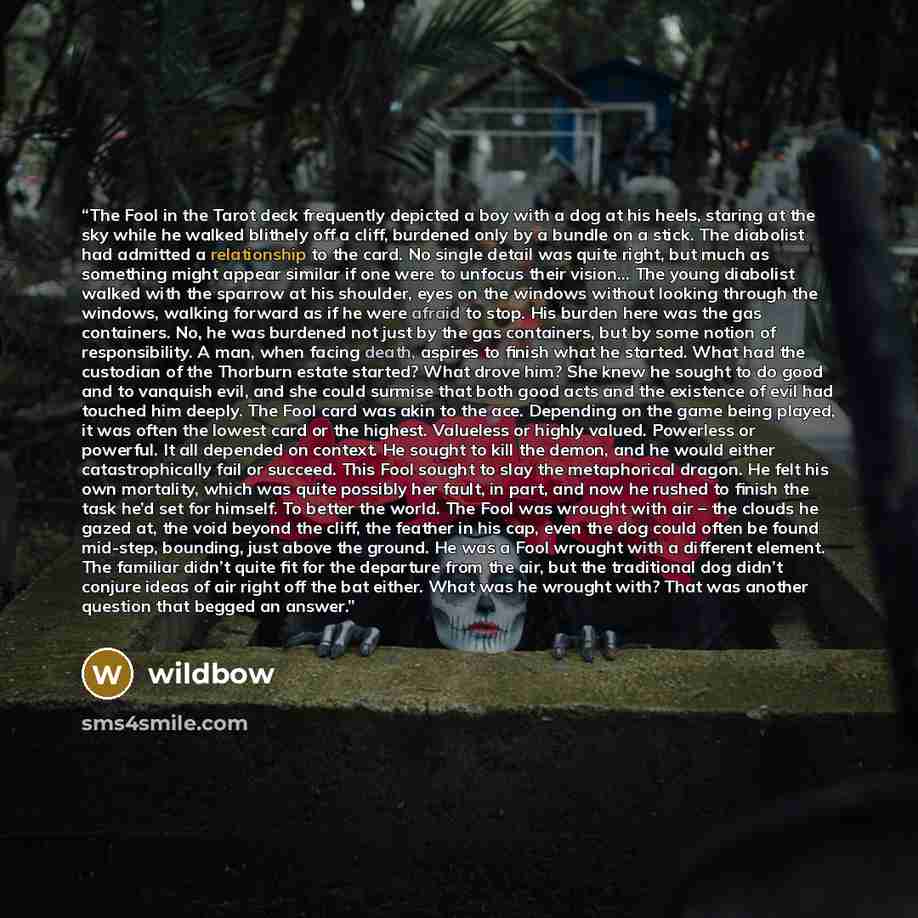 “The Fool in the Tarot deck frequently depicted a boy with a dog at his heels, staring at the sky while he walked blithely off a cliff, burdened only by a bundle on a stick. The diabolist had admitted a relationship to the card. No single detail was quite right, but much as something might appear…” quote by wildbow