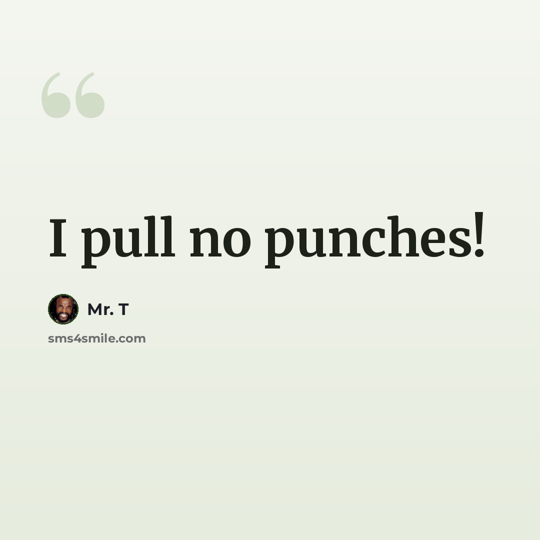 “I pull no punches!” quote by Mr. T