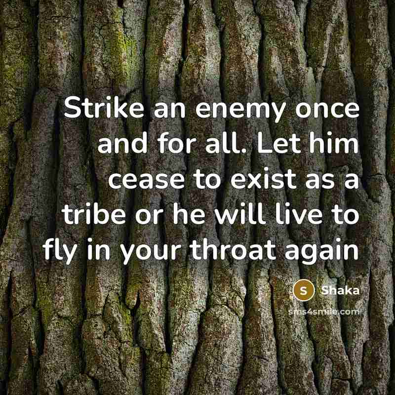 “Strike an enemy once and for all. Let him cease to exist as a tribe or he will live to fly in your throat again” quote by Shaka