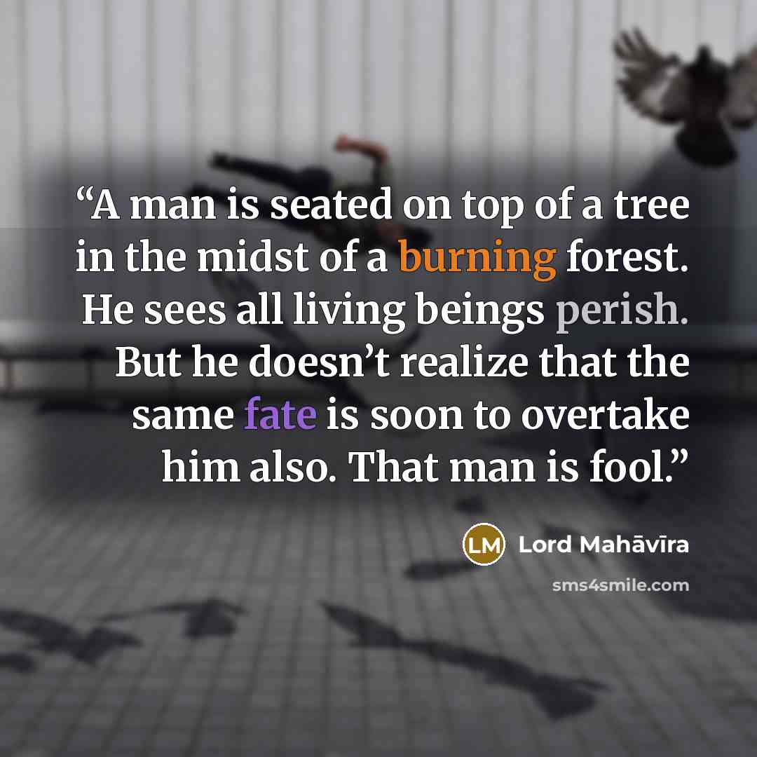 “A man is seated on top of a tree in the midst of a burning forest. He sees all living beings perish. But he doesn’t realize that the same fate is soon to overtake him also. That man is fool.” quote by Lord Mahāvīra