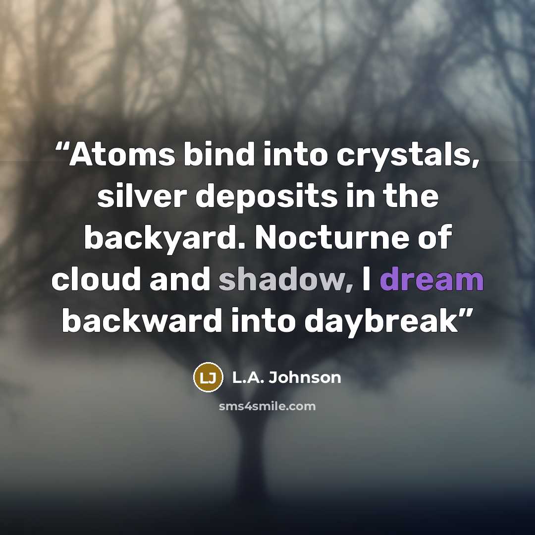 “Atoms bind into crystals, silver deposits in the backyard. Nocturne of cloud and shadow, I dream backward into daybreak” quote by L.A. Johnson