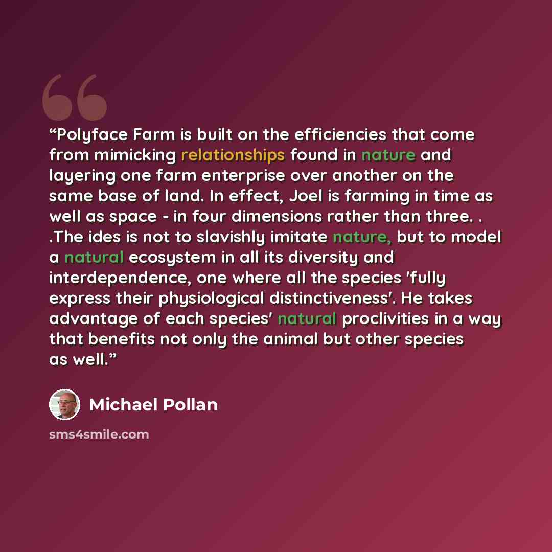 “Polyface Farm is built on the efficiencies that come from mimicking relationships found in nature and layering one farm enterprise over another on the same base of land. In effect, Joel is farming in time as well as space - in four dimensions rather than three. . .The ides is not to slavishly…” quote by Michael Pollan