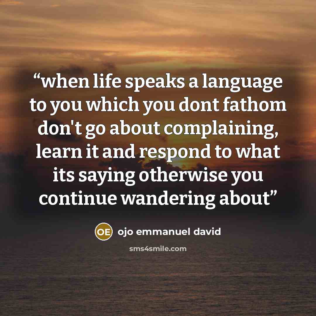 “when life speaks a language to you which you dont fathom don't go about complaining, learn it and respond to what its saying otherwise you continue wandering about” quote by ojo emmanuel david