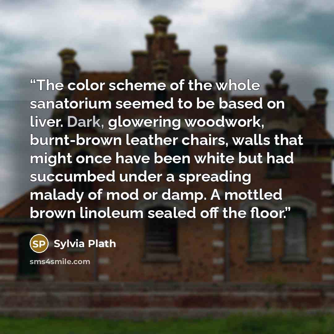 “The color scheme of the whole sanatorium seemed to be based on liver. Dark, glowering woodwork, burnt-brown leather chairs, walls that might once have been white but had succumbed under a spreading malady of mod or damp. A mottled brown linoleum sealed off the floor.” quote by Sylvia Plath