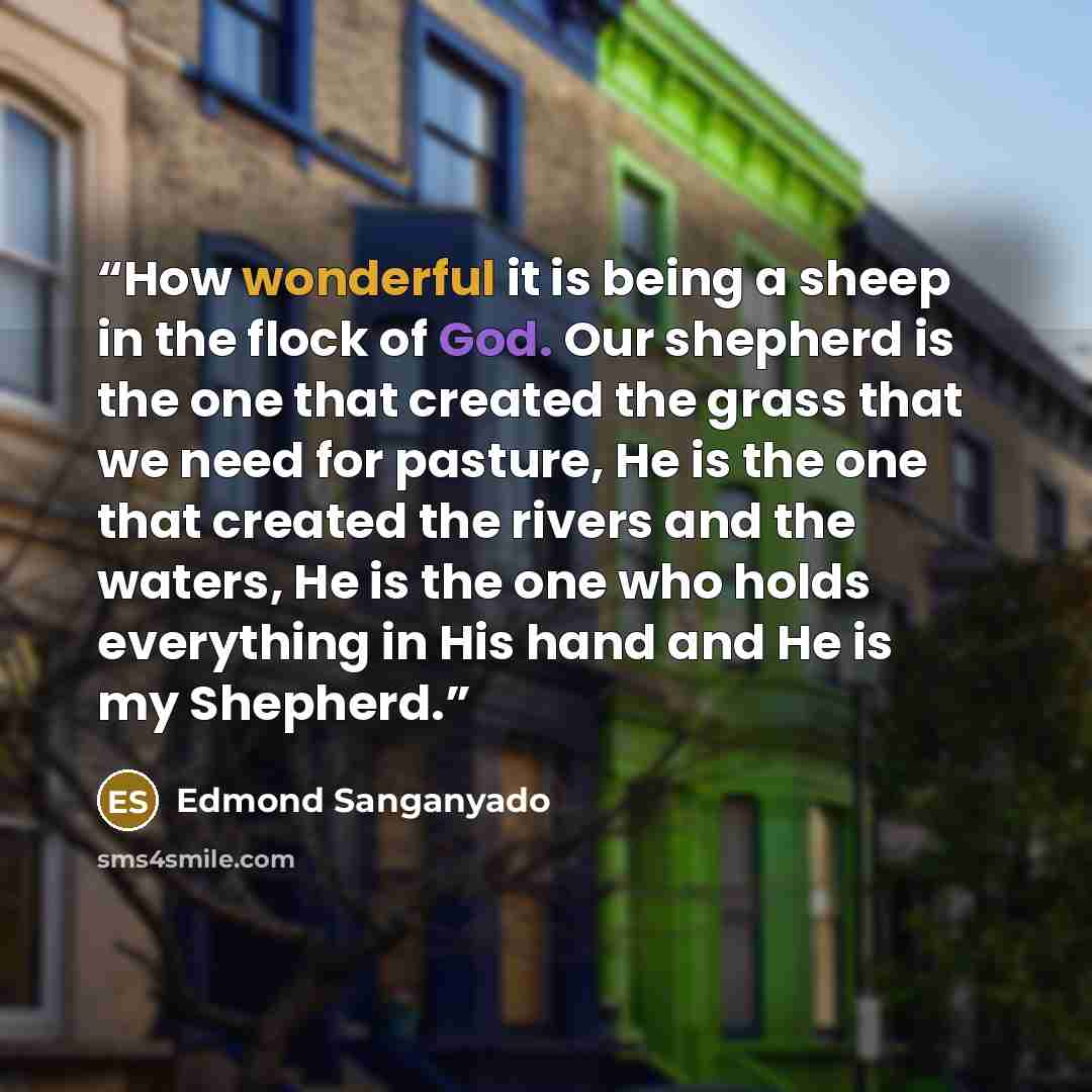 “How wonderful it is being a sheep in the flock of God. Our shepherd is the one that created the grass that we need for pasture, He is the one that created the rivers and the waters, He is the one who holds everything in His hand and He is my Shepherd.” quote by Edmond Sanganyado