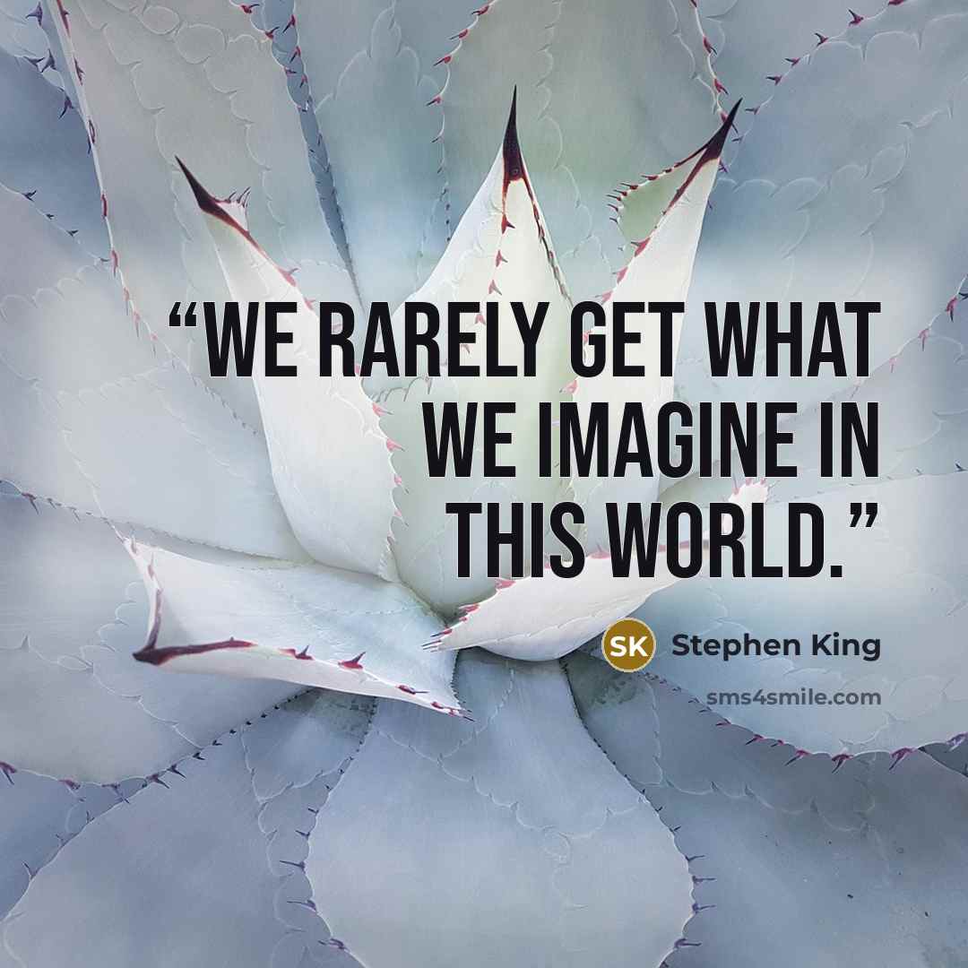 “We rarely get what we imagine in this world.” quote by Stephen King