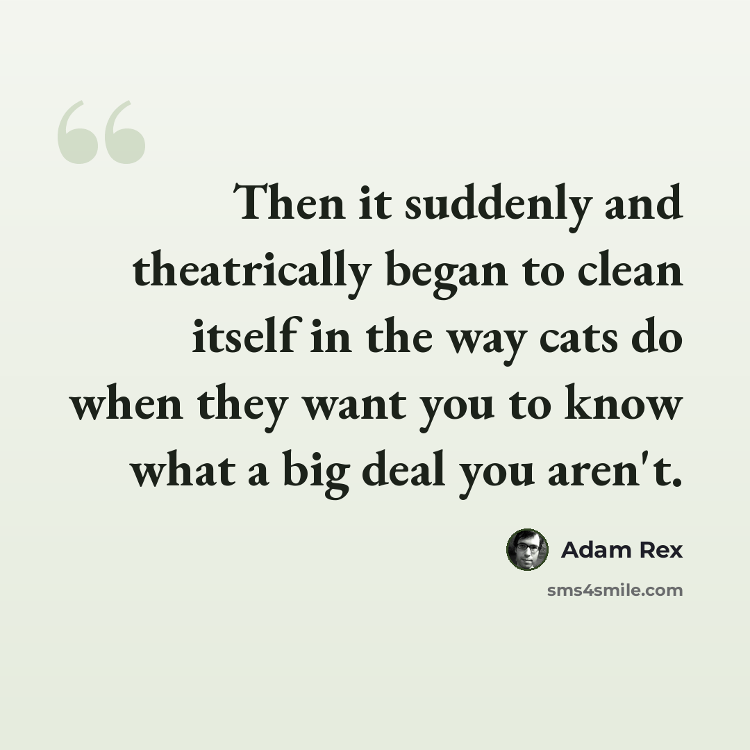 “Then it suddenly and theatrically began to clean itself in the way cats do when they want you to know what a big deal you aren't.” quote by Adam Rex