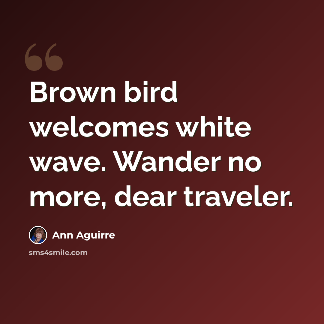 “Brown bird welcomes white wave. Wander no more, dear traveler.” quote by Ann Aguirre