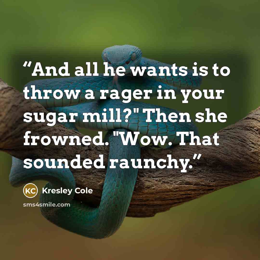 “And all he wants is to throw a rager in your sugar mill?" Then she frowned. "Wow. That sounded raunchy.” quote by Kresley Cole