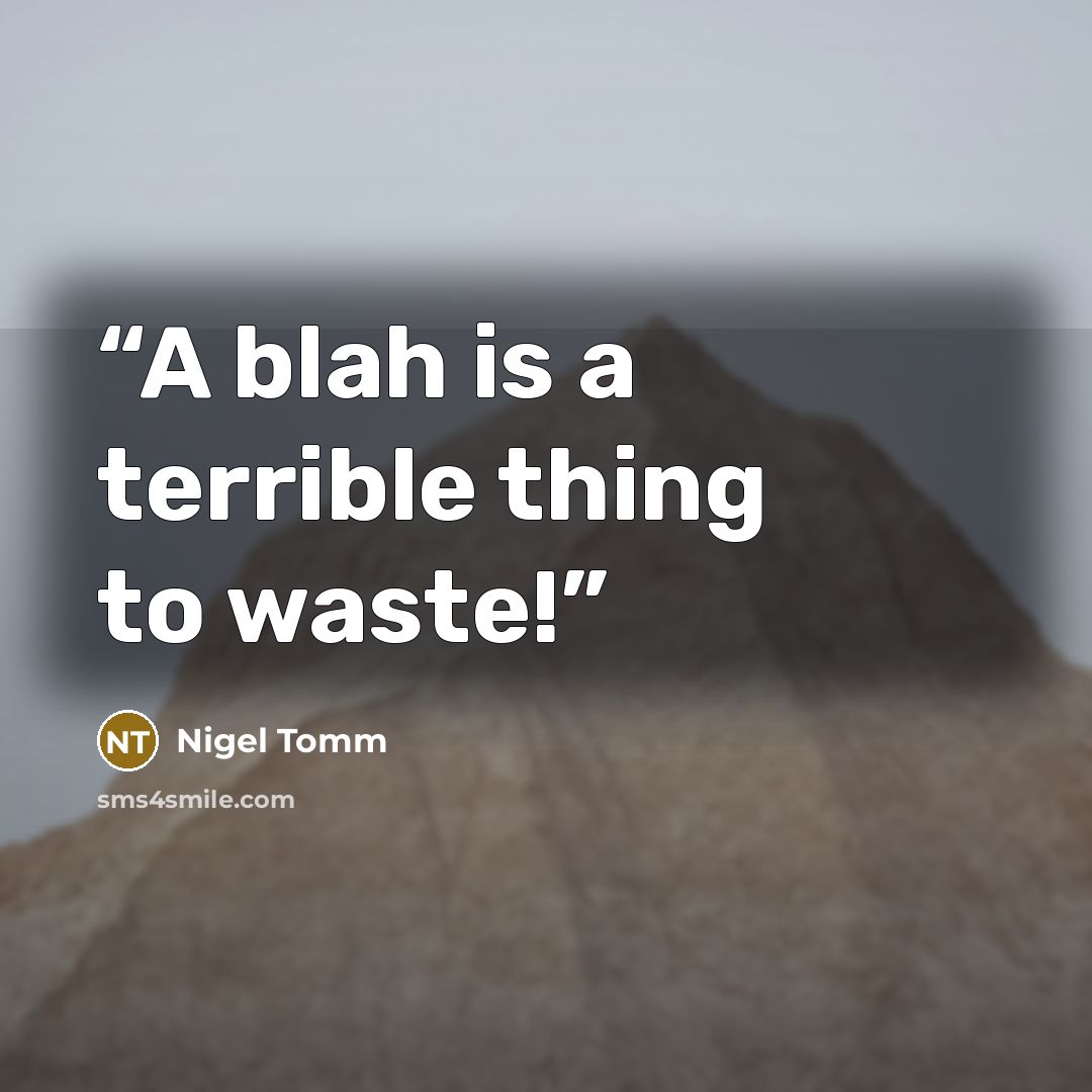 “A blah is a terrible thing to waste!” quote by Nigel Tomm