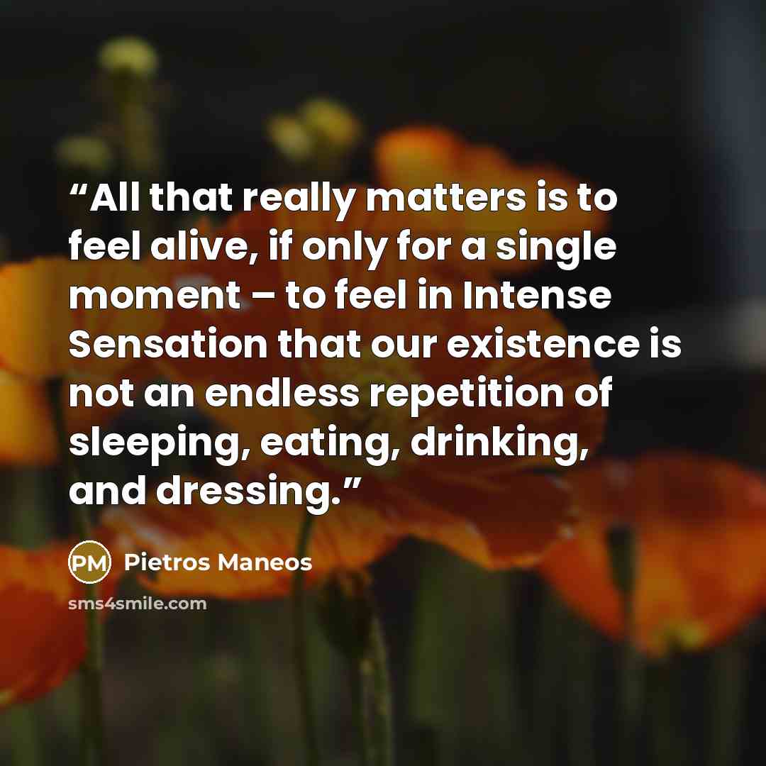 “All that really matters is to feel alive, if only for a single moment – to feel in Intense Sensation that our existence is not an endless repetition of sleeping, eating, drinking, and dressing.” quote by Pietros Maneos