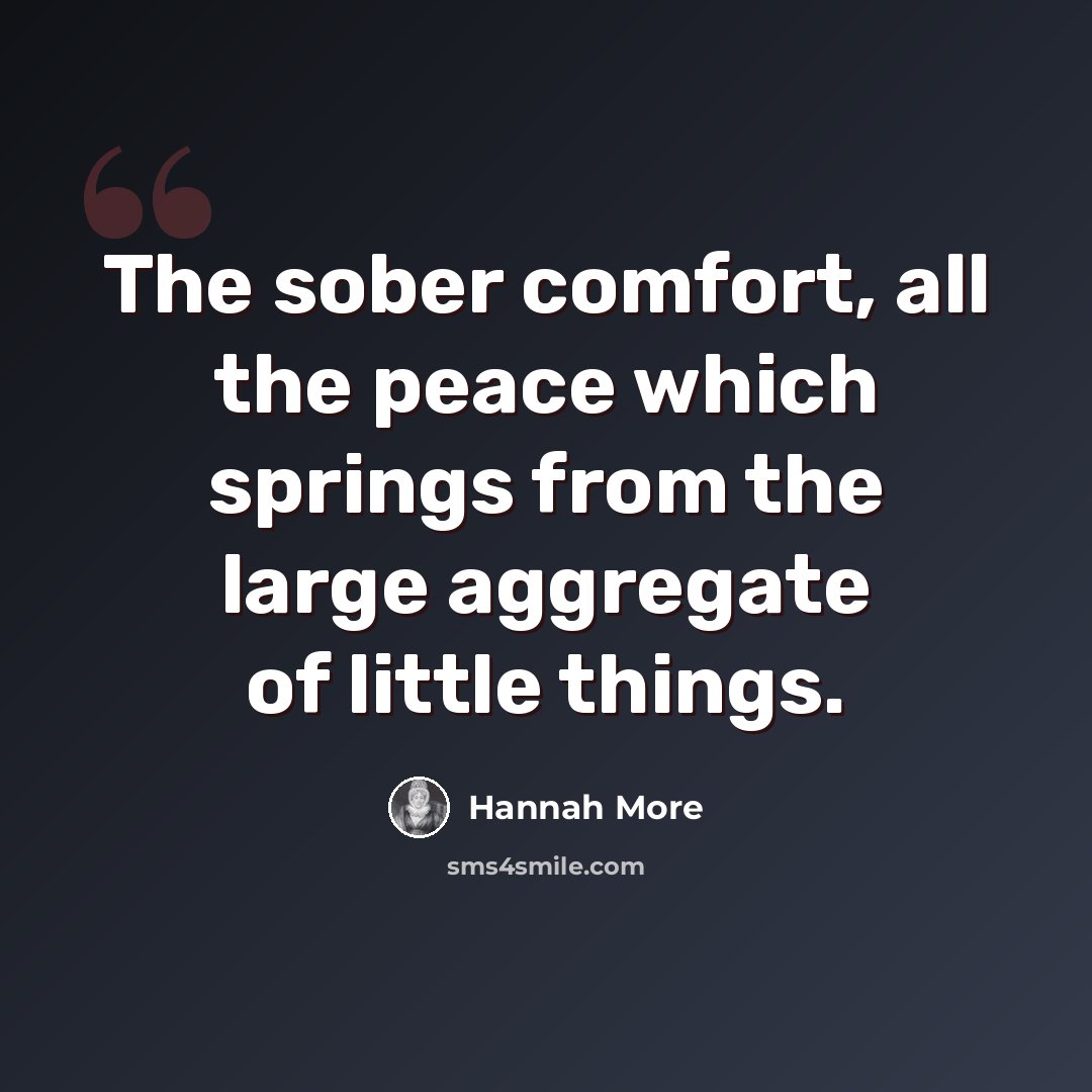 “The sober comfort, all the peace which springs from the large aggregate of little things.” quote by Hannah More