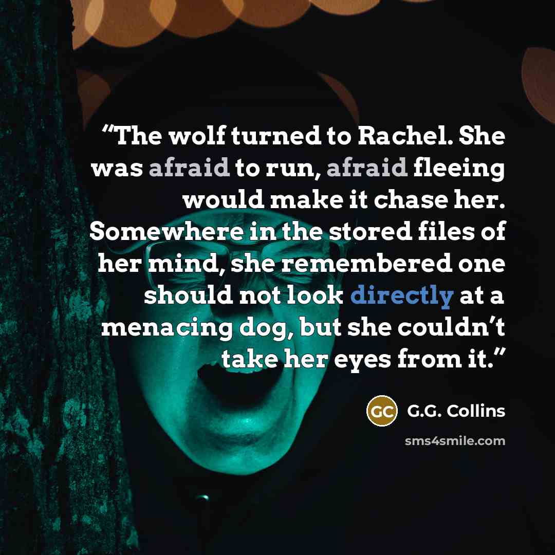 “The wolf turned to Rachel. She was afraid to run, afraid fleeing would make it chase her. Somewhere in the stored files of her mind, she remembered one should not look directly at a menacing dog, but she couldn’t take her eyes from it.” quote by G.G. Collins