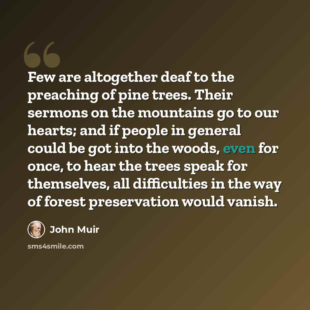 “Few are altogether deaf to the preaching of pine trees. Their sermons on the mountains go to our hearts; and if people in general could be got into the woods, even for once, to hear the trees speak for themselves, all difficulties in the way of forest preservation would vanish.” quote by John Muir