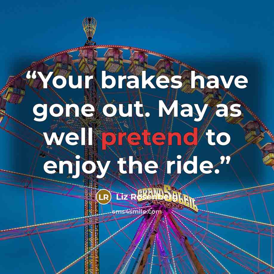 “Your brakes have gone out. May as well pretend to enjoy the ride.” quote by Liz Rosenberg