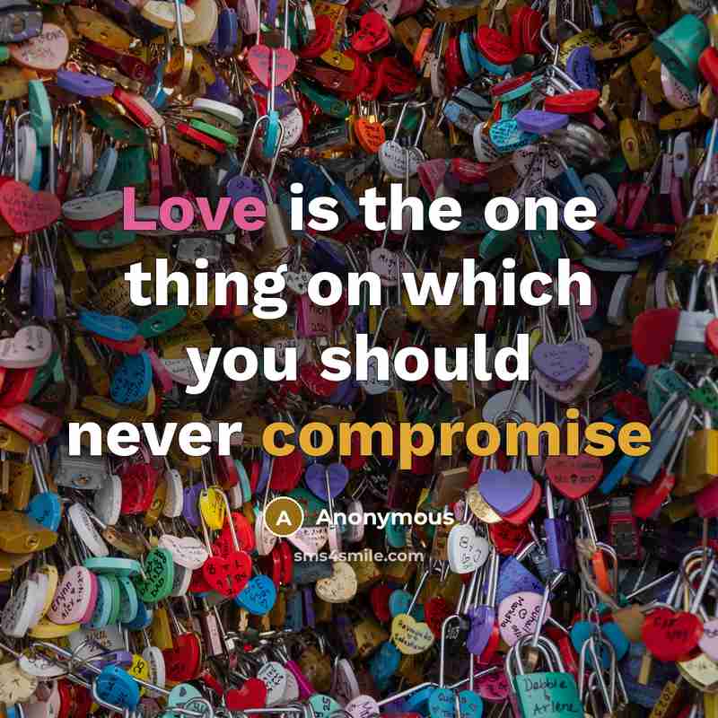 “Love is the one thing on which you should never compromise” quote by Anonymous