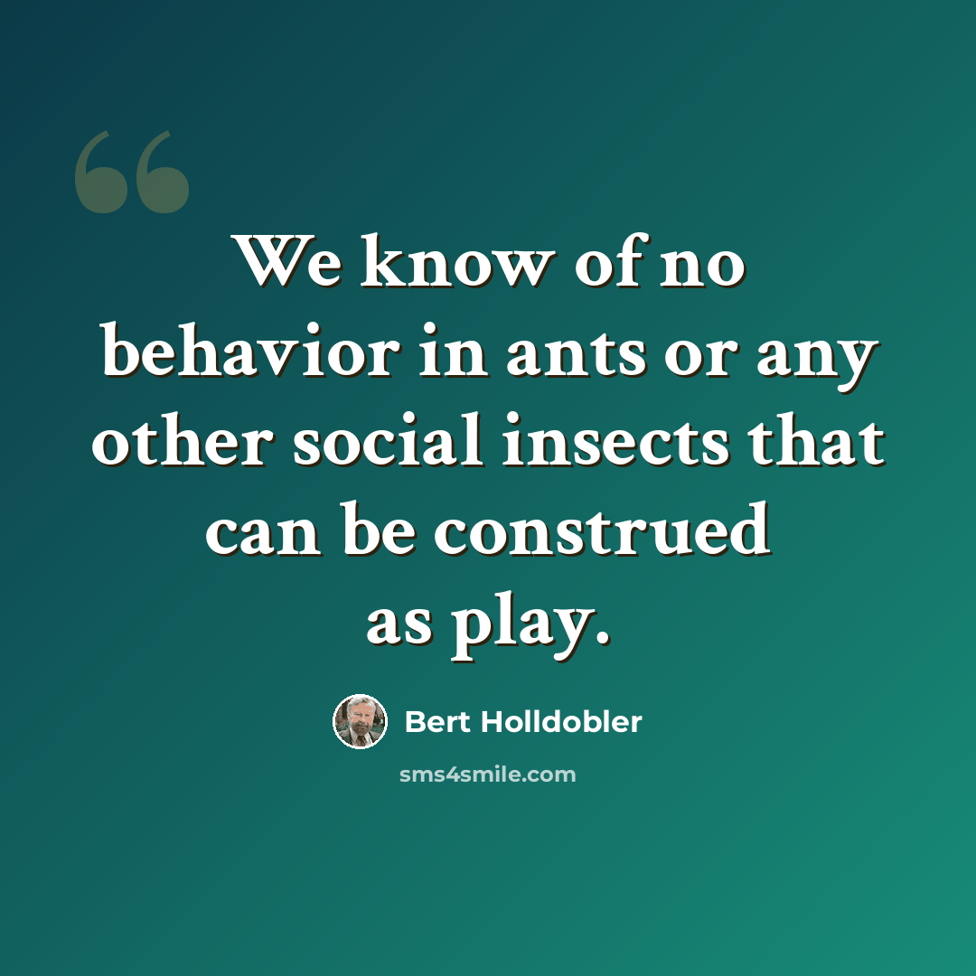 “We know of no behavior in ants or any other social insects that can be construed as play.” quote by Bert Holldobler