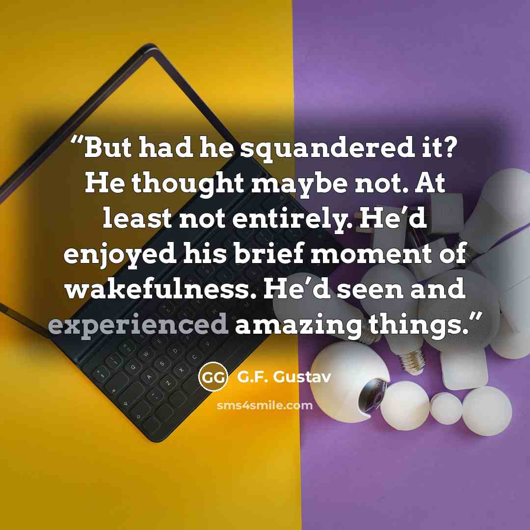 “But had he squandered it? He thought maybe not. At least not entirely. He’d enjoyed his brief moment of wakefulness. He’d seen and experienced amazing things.” quote by G.F. Gustav
