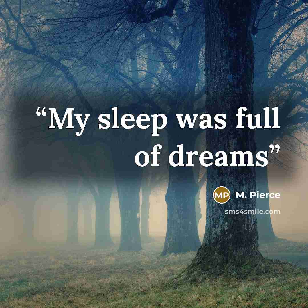 “My sleep was full of dreams” quote by M. Pierce