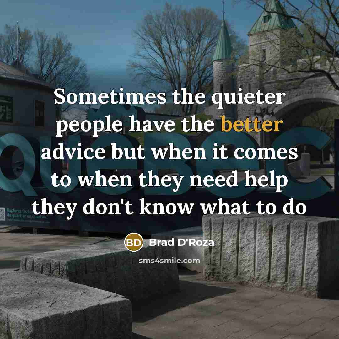 “Sometimes the quieter people have the better advice but when it comes to when they need help they don't know what to do” quote by Brad D'Roza