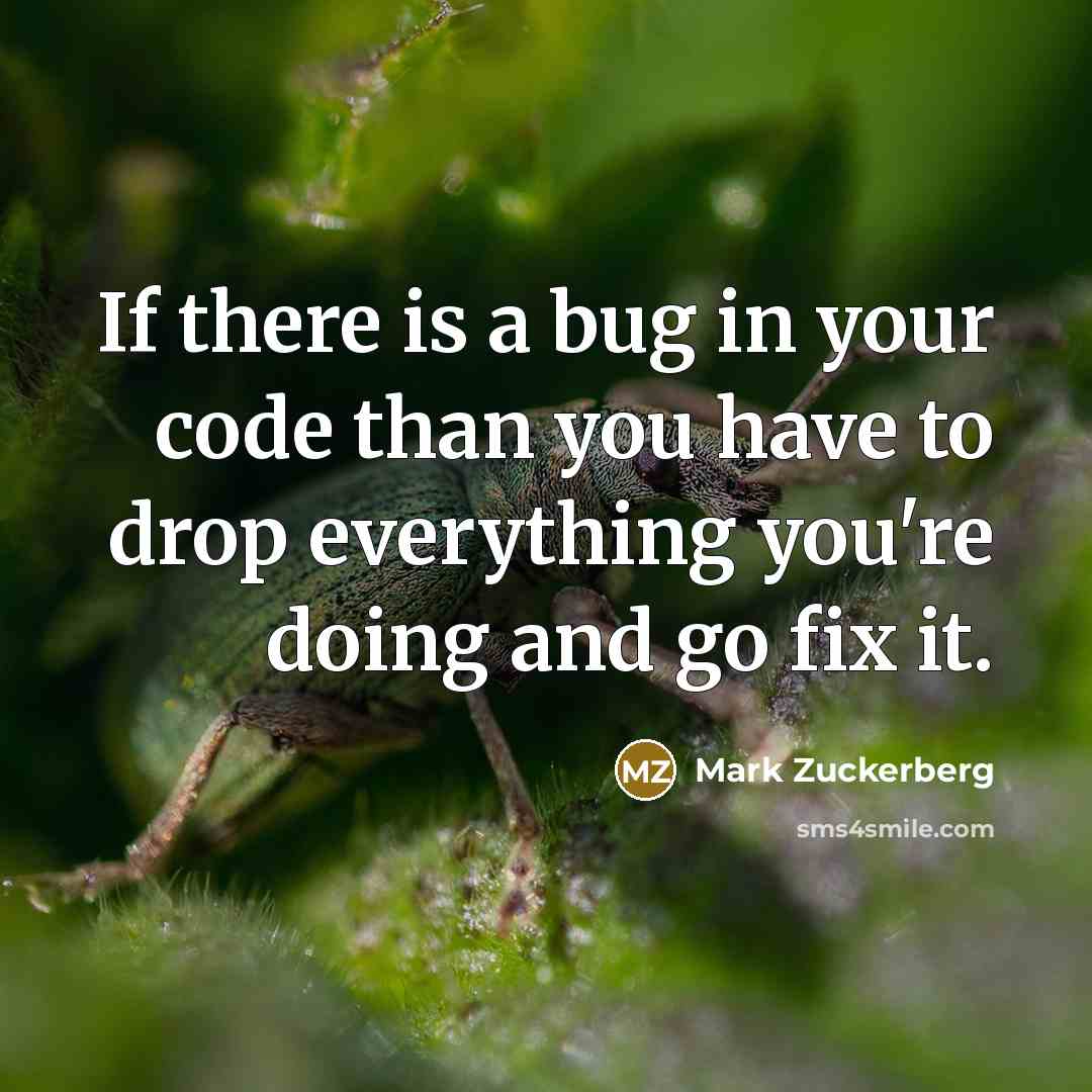 “If there is a bug in your code than you have to drop everything you're doing and go fix it.” quote by Mark Zuckerberg