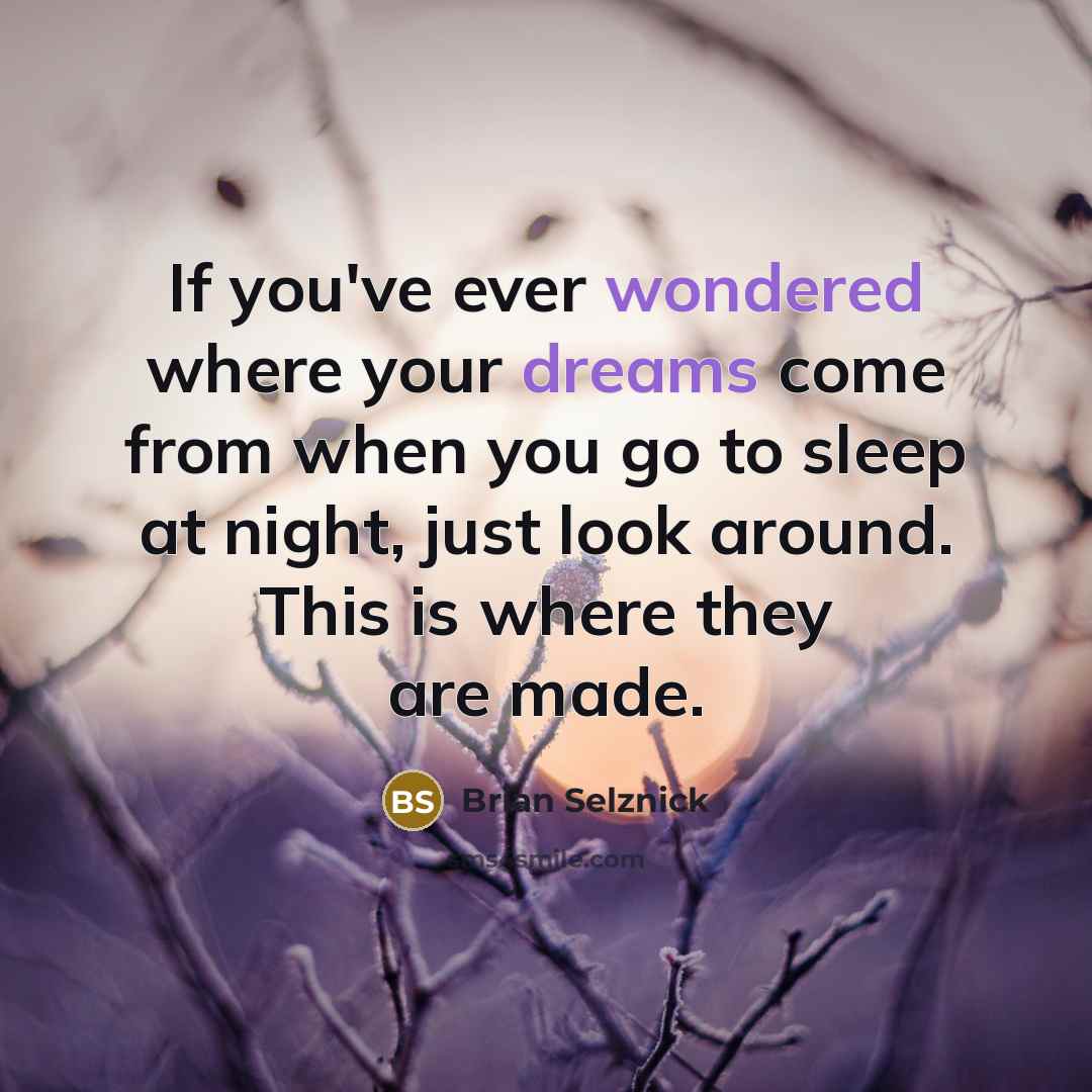 “If you've ever wondered where your dreams come from when you go to sleep at night, just look around. This is where they are made.” quote by Brian Selznick