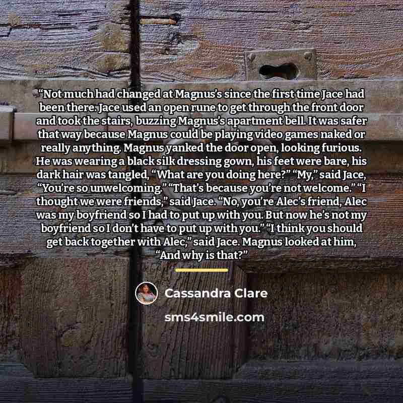 “Not much had changed at Magnus’s since the first time Jace had been there. Jace used an open rune to get through the front door and took the stairs, buzzing Magnus’s apartment bell. It was safer that way because Magnus could be playing video games naked or really anything. Magnus yanked the door…” quote by Cassandra Clare