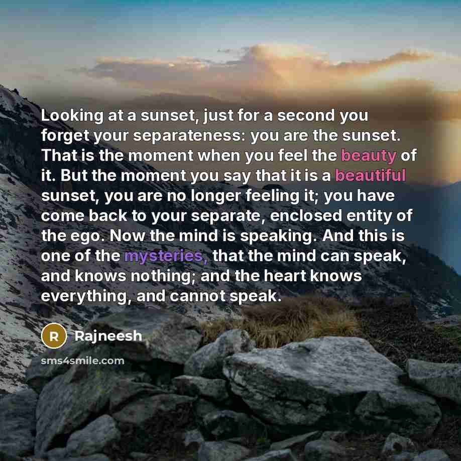 “Looking at a sunset, just for a second you forget your separateness: you are the sunset. That is the moment when you feel the beauty of it. But the moment you say that it is a beautiful sunset, you are no longer feeling it; you have come back to your separate, enclosed entity of the ego. Now the…” quote by Rajneesh