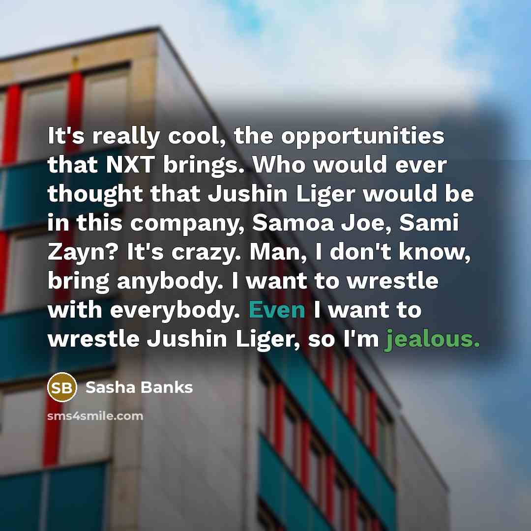 “It's really cool, the opportunities that NXT brings. Who would ever thought that Jushin Liger would be in this company, Samoa Joe, Sami Zayn? It's crazy. Man, I don't know, bring anybody. I want to wrestle with everybody. Even I want to wrestle Jushin Liger, so I'm jealous.” quote by Sasha Banks