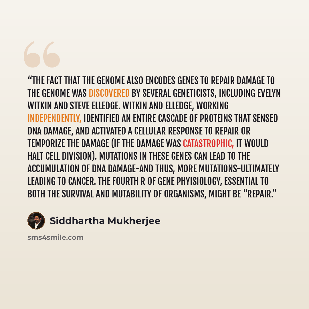 “The fact that the genome also encodes genes to repair damage to the genome was discovered by several geneticists, including Evelyn Witkin and Steve Elledge. Witkin and Elledge, working independently, identified an entire cascade of proteins that sensed DNA damage, and activated a cellular response…” quote by Siddhartha Mukherjee