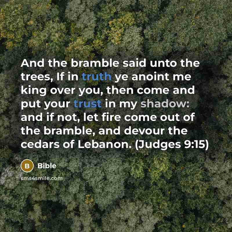 “And the bramble said unto the trees, If in truth ye anoint me king over you, then come and put your trust in my shadow: and if not, let fire come out of the bramble, and devour the cedars of Lebanon. (Judges 9:15)” quote by Bible